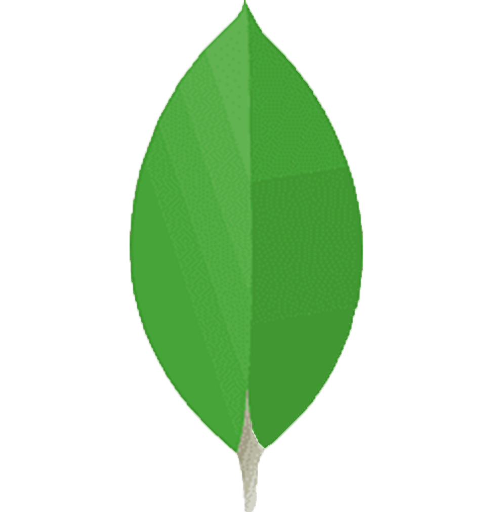 MongoDB