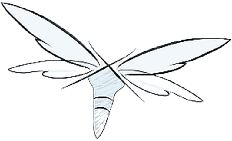 Wildfly